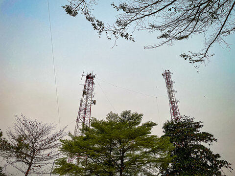 Tall towers stand above green trees. Sky shows soft gradient hues. Branches frame the scene naturally. Structures signal modern communication. Image captures urban and nature blend.
