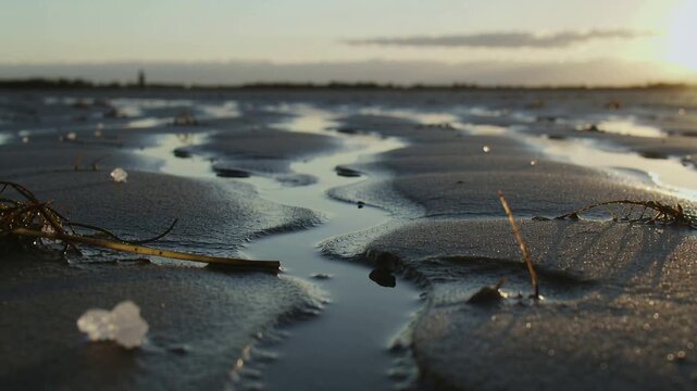 Flowing tidal channel and rippled wet sand reflecting low sun near horizon, revealing seaweed beads