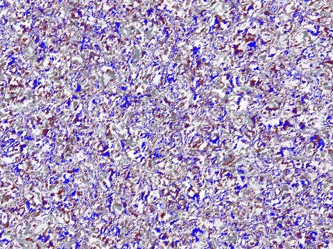 Abstract Swirling Marble Effect Texture Background with Blue and Red Digital Pattern