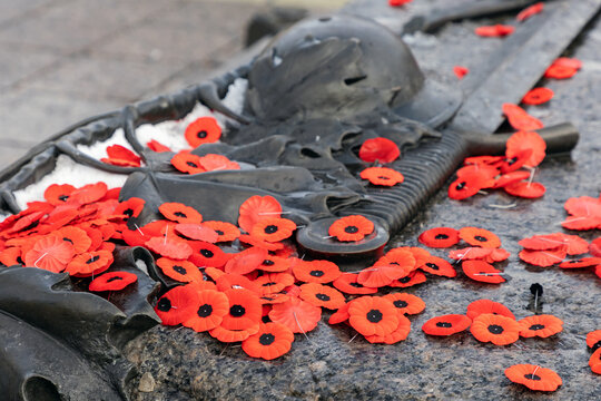 Remembrance Day red poppies at Tomb of the Unknown Soldier in Ottawa, Canada.