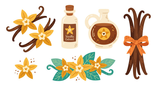 Vanilla spice set with flower bean pod and extract bottle