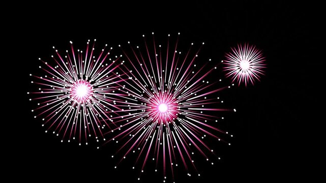 Bright colorful fireworks exploding in the dark night sky