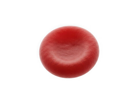 Single red blood cell isolated transparent background