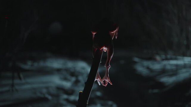 Close up of wolf paw with icicles hanging from it set against dark forest background. scene is dimly lit by moonlight filtering through trees creating dramatic shadows and highlights