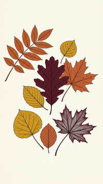 Set of colorful autumn leaves illustration on a light textured background.