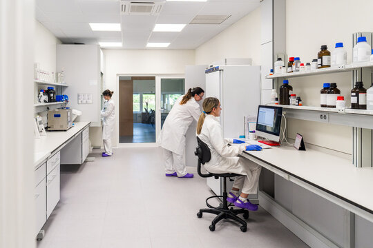 Team Members Work in a Laboratory Setting During the Day