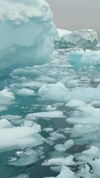 Vertical Video of Dense Ice Floes Covering Dark Blue Water. Broken white ice spreads across blue-green water, showing varied frozen shapes, surface texture and gentle ripples in a natural seascape.