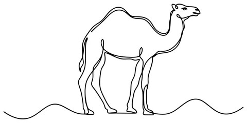 Minimalist continuous line drawing of desert camel standing on sand dunes for travel themed graphic illustrations or icons. © Babu