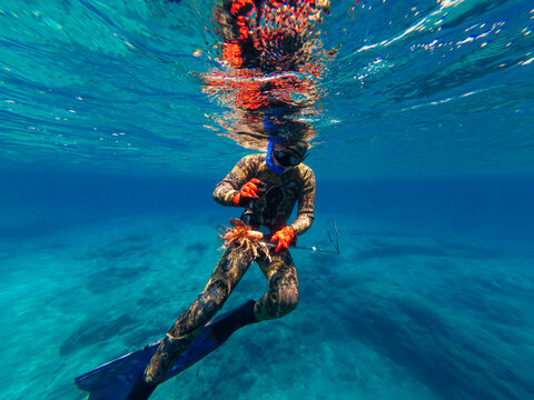 young freediver swimming on the surface with lionfish
