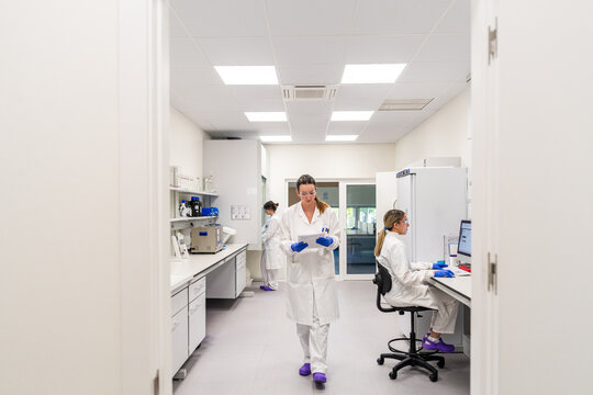 Laboratory Workers Engage in Tasks Within a Modern Lab Setting