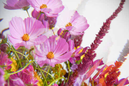 Vibrant Flowers in a Bouquet
