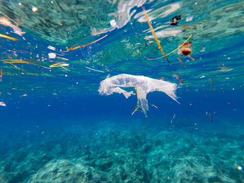 discarded plastic floating in mediterranean water