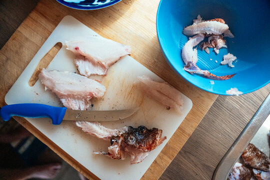 fresh lionfish being prepared for cooking