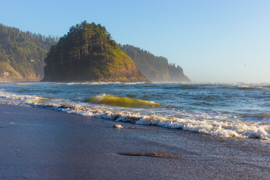 Wooded Sea Stack and Surf