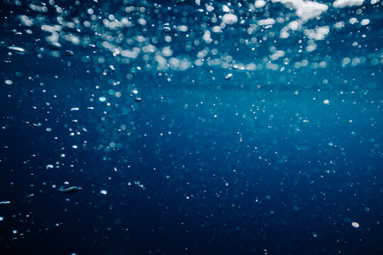 bubbles drifting beneath the dark ocean surface