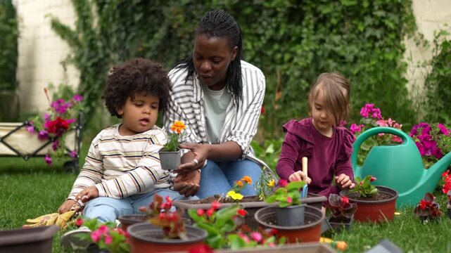 Multiracial family enjoying a sunny day outdoors planting colorful flowers in their backyard