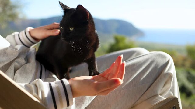 Serene afternoon of woman and black cat relaxing outdoors with sea view