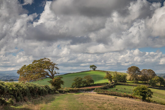 Red Soil and Green Hills of Devon 3