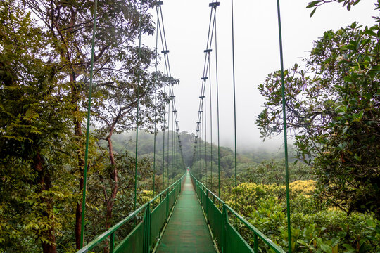 A footbridge suspended over the tropical rainforest of the Monteverde Cloud Forest Biological Reserve, Costa Rica, on a foggy day.