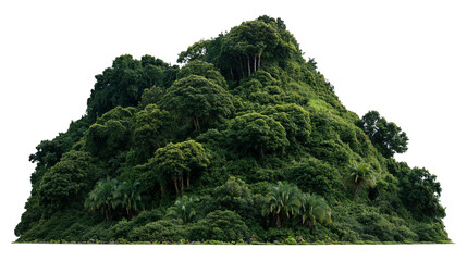 Lush tropical mountain covered with dense green rainforest vegetation © Svenja