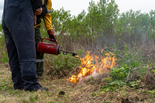 Operator using a red torch to ignite controlled fire in rural grassland