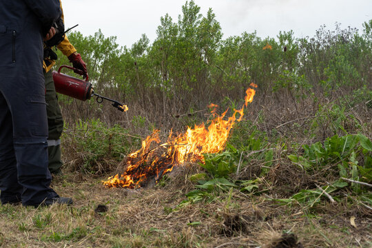 Operator using a red torch to ignite controlled fire in rural grassland