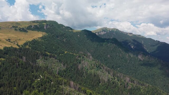 Forest Recovery Across a Rugged Transbucegi Slope