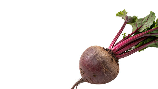 Whole fresh red beetroot with green leaves root vegetable crop isolated on transparent background