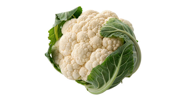 Whole fresh organic white cauliflower head raw healthy vegetable grocery isolated on transparent background