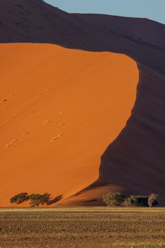 Early morning at the Namib Naukluft National Park dunes, Namibia, Africa