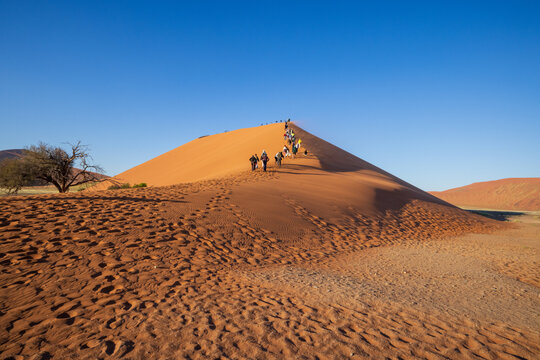 Tourists climbing Dune 45 at Namib Naukluft National Park, Namibia, Africa