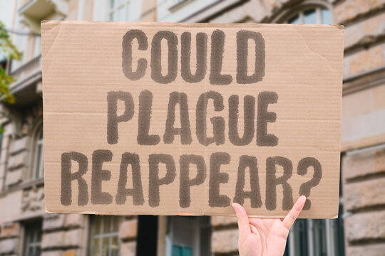 "Could plague reappear?" Medieval disease still exists today. PLAGUE. DISEASE. FLEAS. OUTBREAK. MEDIEVAL.