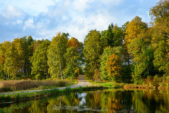Autumn landscape with a peaceful pond, colorful trees, a winding path, and reflections under a bright blue sky.