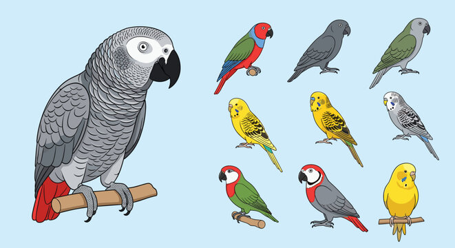 Assortment of diverse colorful parrots perched on branches including gray parrot, lovebird, budgerigar, and macaw.
