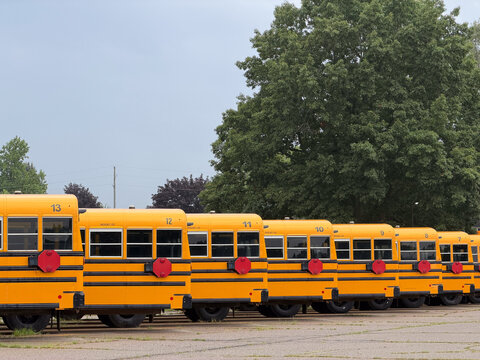 Row of yellow school buses parked in transportation lot