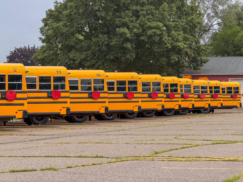 Long row of yellow school buses parked in transportation lot