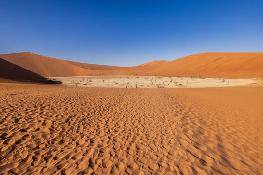 Deadvlei Clay Pan surrendered by sand dunes in the Namib Naukluft National Park, Namibia, Africa