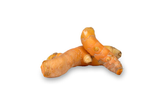 Raw turmeric rhizome isolated on clean white