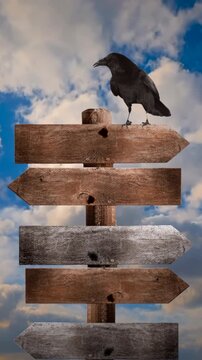 Raven on a weathered signpost vertical