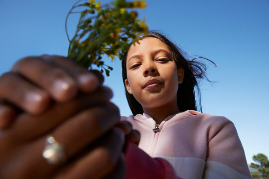 Little girl picking flowers during family camping trip with golden hour light