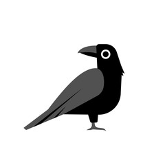 Fototapeta premium Black raven standing isolated, vector illustration