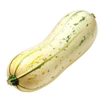Fresh whole striped marrow zucchini isolated on white background