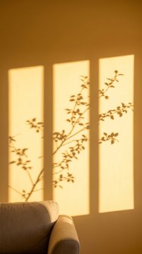 Shadows of leafy tree branches cast by warm golden sunset light through a window onto a plain wall, with corner of a beige linen sofa - cozy minimalist living room and golden hour mood