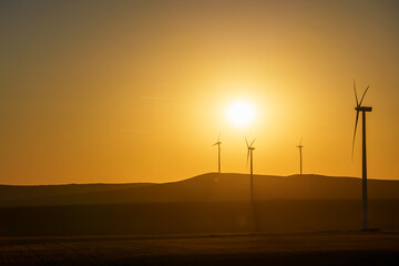 Obraz premium Golden sun sets behind wind turbines