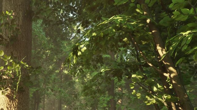 Sunlight streams through vibrant green leaves, casting gentle shadows on the forest floor. The atmosphere is peaceful, filled with the sounds of nature and soft rustling leaves.