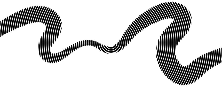 A sinuous black wave line with parallel stripes is displayed on a white background