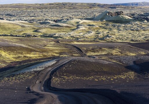 Unpaved road leads through moss-covered Laki Crater or Lakag&iacute;gar, Crater Row, Highlands, South Iceland, Su&eth;urland, Iceland