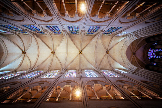 Notre-Dame nave ceiling with warm light
