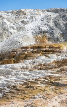 Sinter terraces, hot springs, orange mineral deposits, Palette Springs, Lower Terraces, Mammoth Hot Springs, Yellowstone National Park, Wyoming, USA