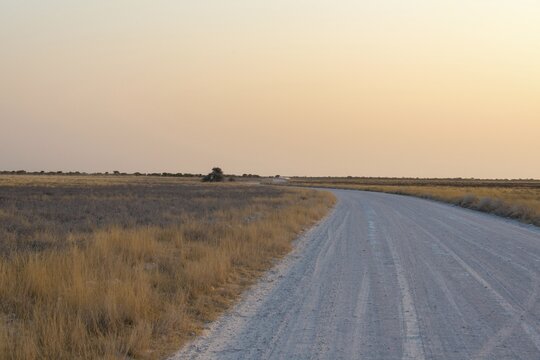 Street, Etosha National Park, Namibia